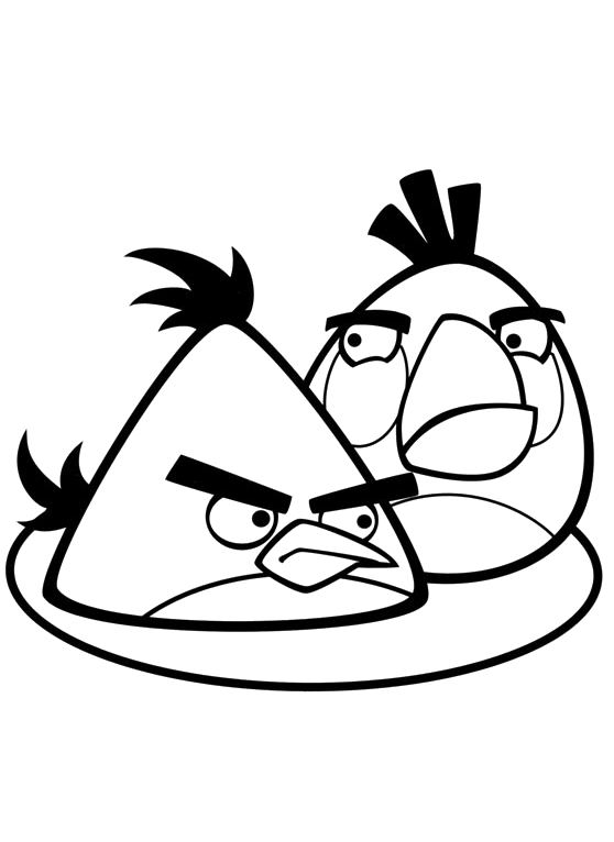 Angry birds