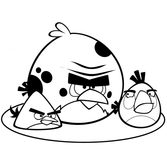 Angry birds