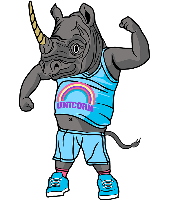 Chubby unicorn t