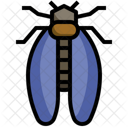 Cicada icons