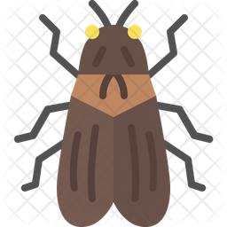 Cicada icons