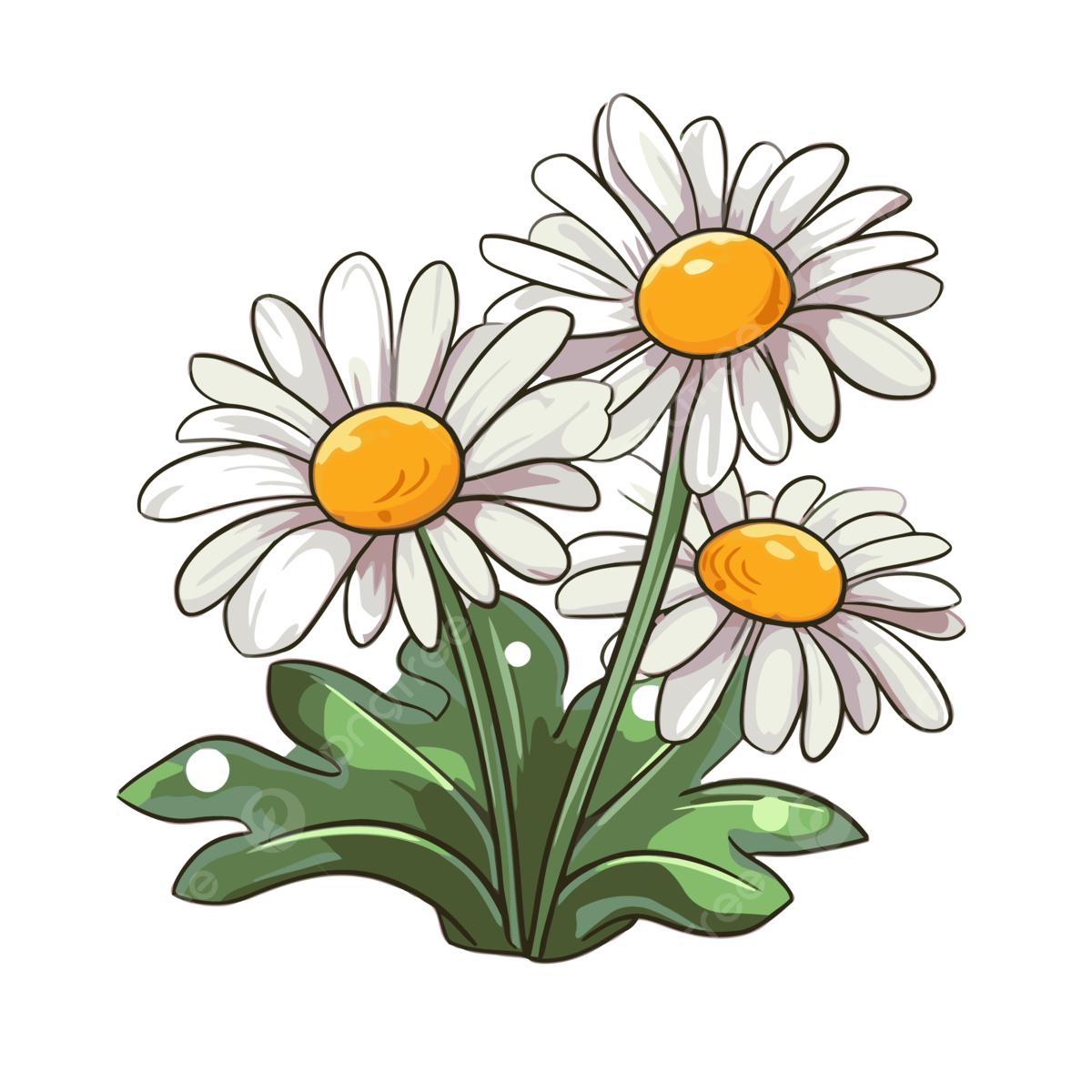 Cartoon daisy png transparent images free download vector files
