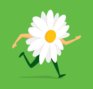 Cartoon daisy flower png transparent images free download vector files
