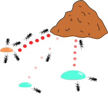Algoritmo de la colonia de hormigas