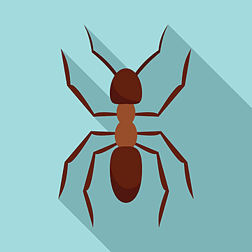 Iconos de hormigas png imãgen transparent