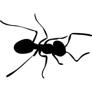 Ant silhouette clip t ant t ants