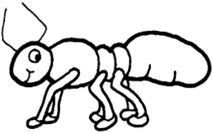 Mayo