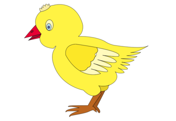 Vector de pollo