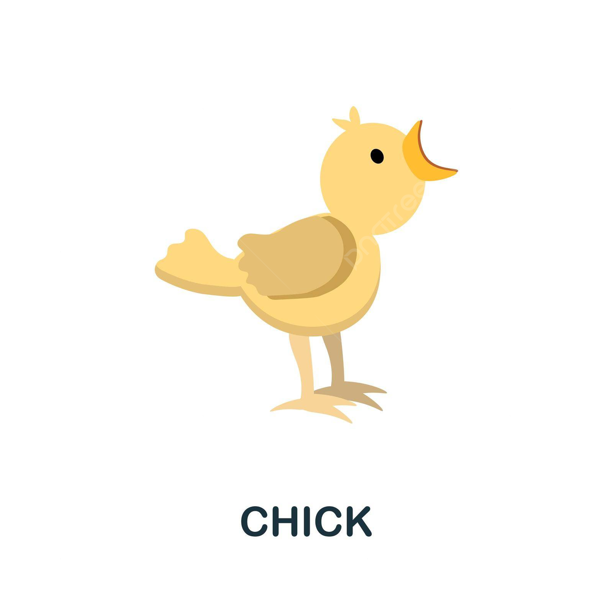 Chicks icon png imãgen transparent