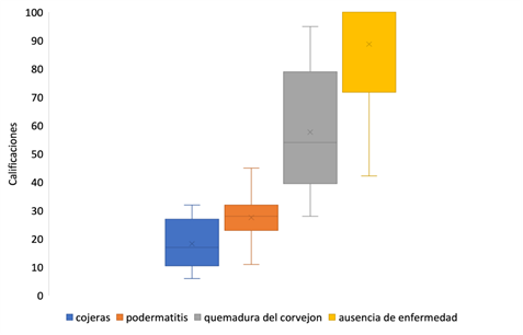View of commercial level chicken welfare evaluation with the welfare quality project protocol research journal