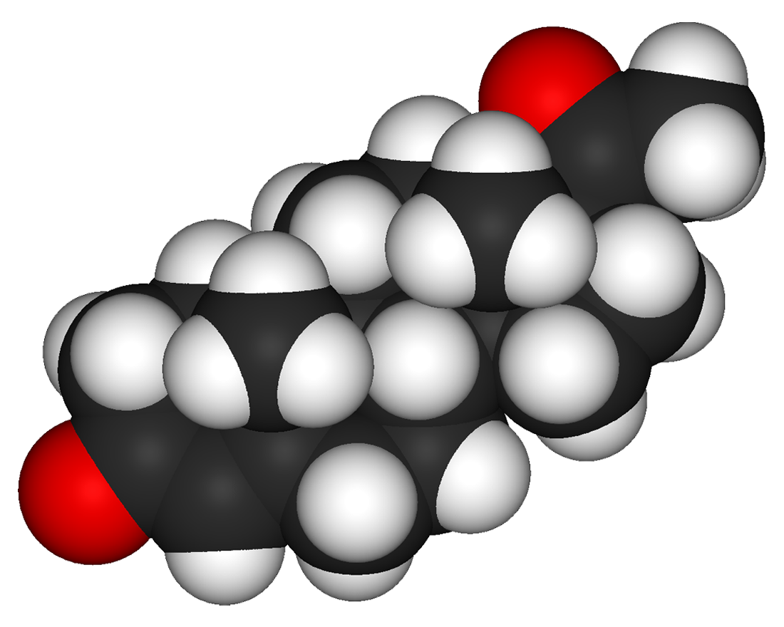 Trastornos hormonales menstruaciãn e hiperestrogenia progesterona y menopausia