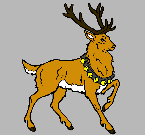 Venado capazuri dibujo