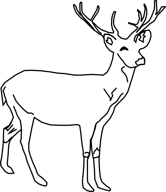 Dibujo de ciervo para colorear y pintar