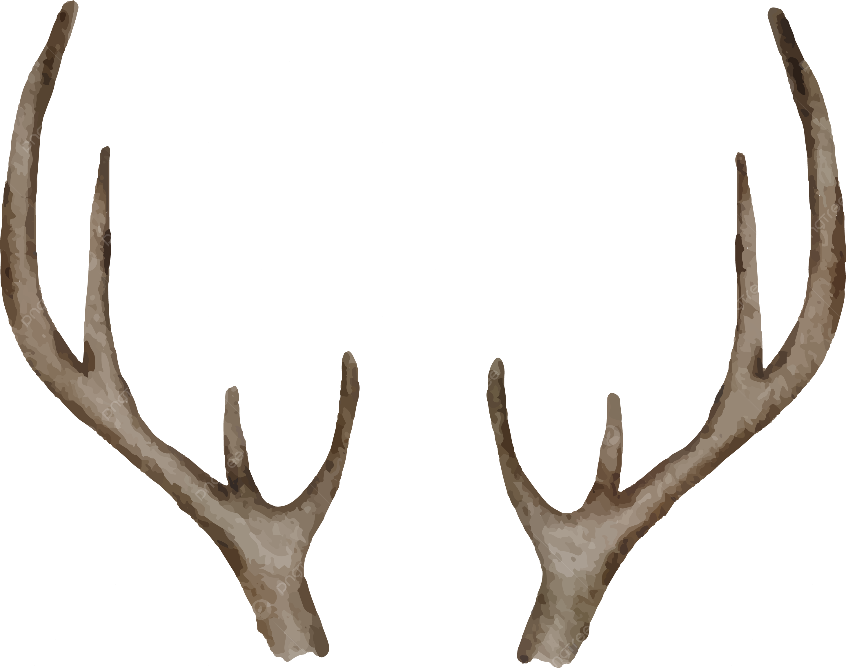 Astas de ciervo pintadas en acuarela png dibujos antecedent acuarela cuernos de venado png y vector para dcargar gratis pngtree imagen de venados astas pintadas venado