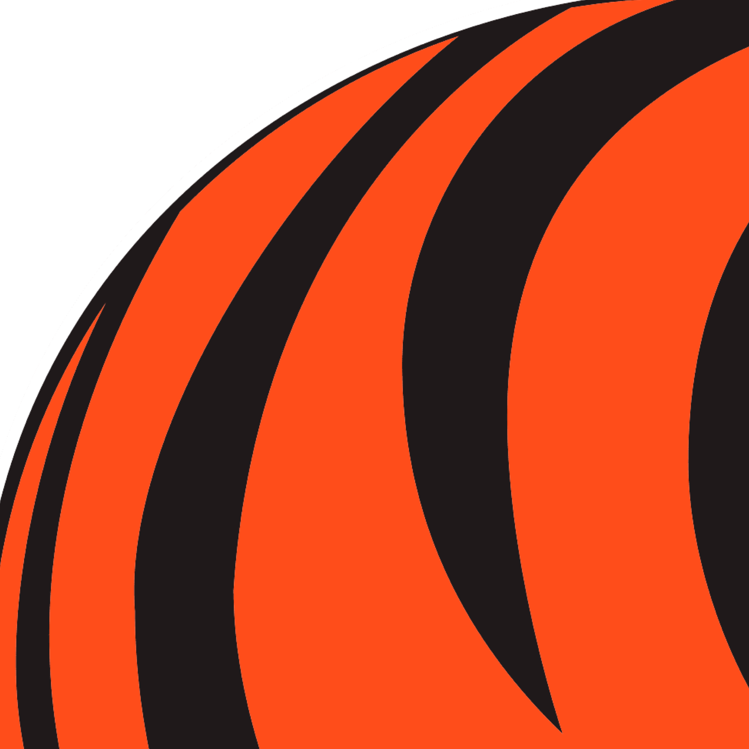 The vibrant colors of the cincinnati bengals a dive into their team colors