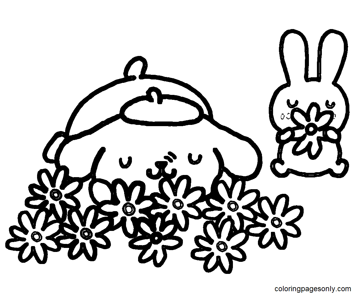 Pompompurin coloring pages