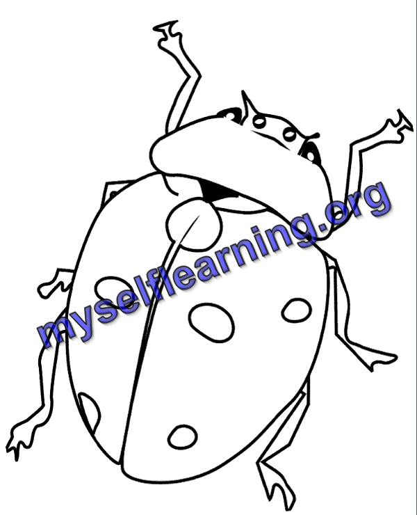 Insects coloring sheet instant download