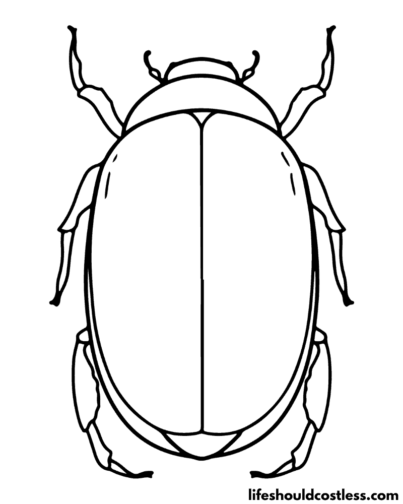 Insect coloring pages free printable pdf templates