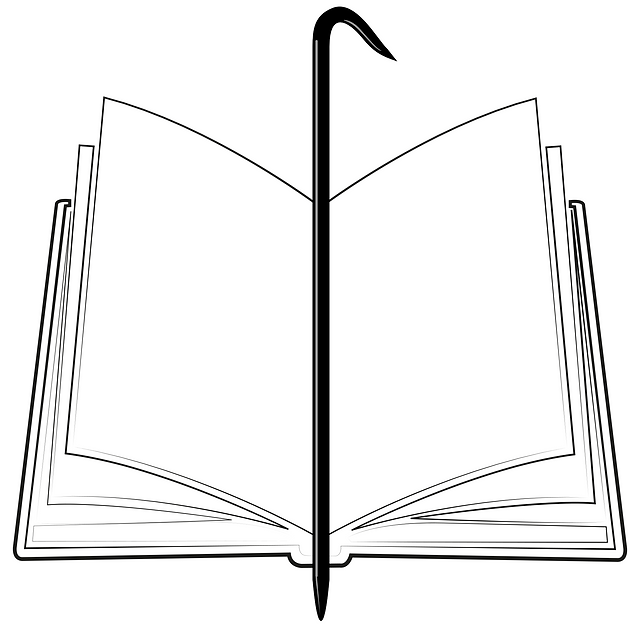 Blog books