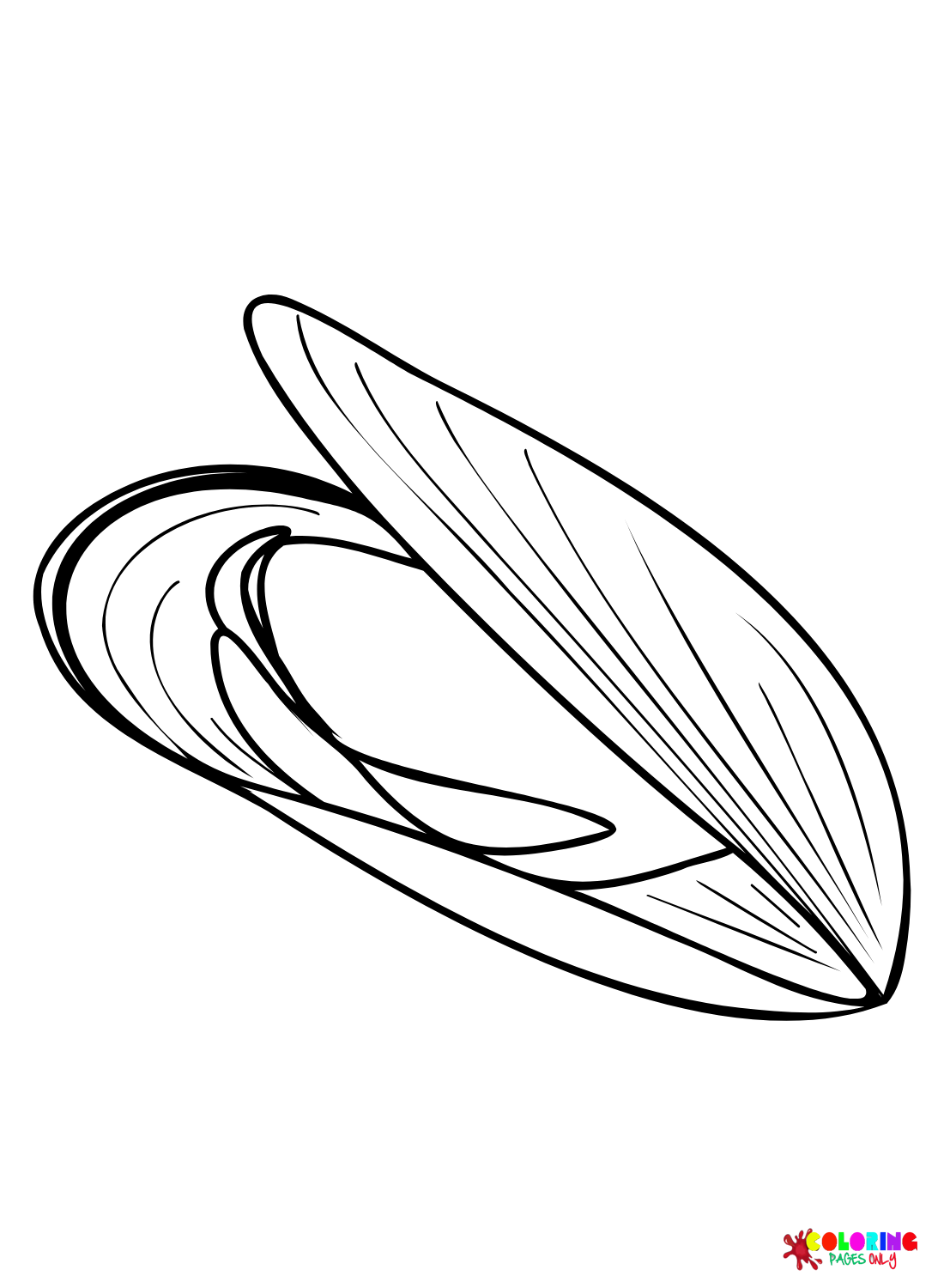Mussel clam coloring page
