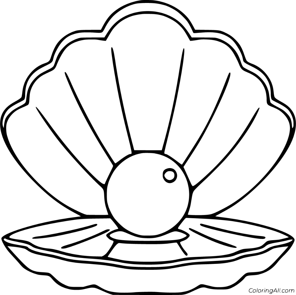 Free printable scallop coloring pages in vector format easy to print from any device and automatically fit â coloring pages shell drawing seashells template
