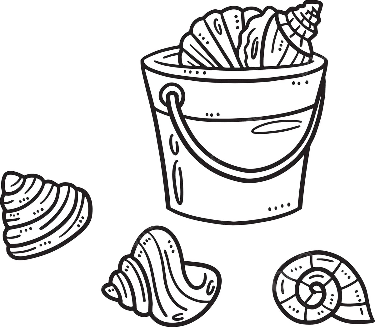 Sea shells coloring book png transparent images free download vector files