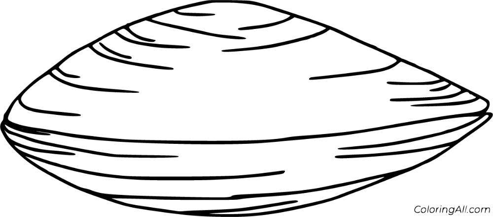Clam coloring pages clams coloring pages templates printable free