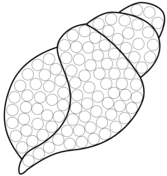 Seashell coloring pages free printable pictures