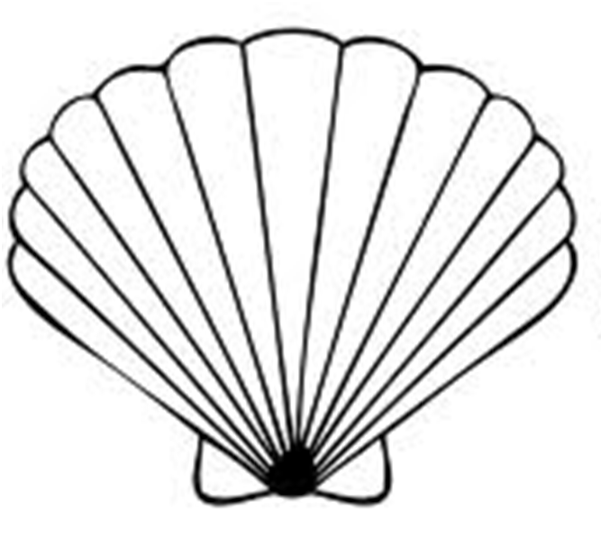 Seashell clip art free printable clipart library
