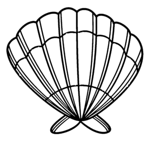 Scallop coloring pages printable for free download