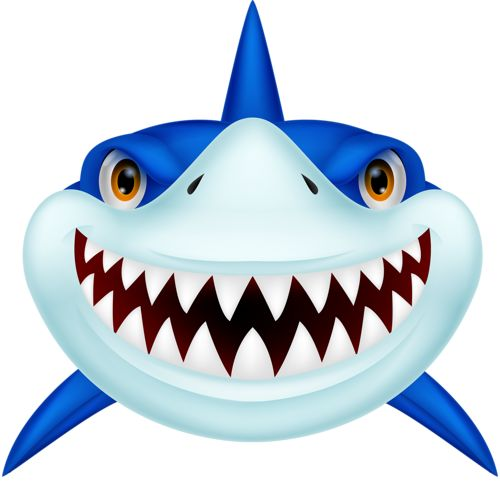 Shark faces