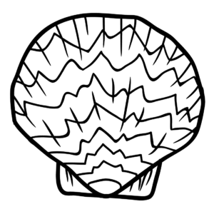Scallop coloring pages printable for free download