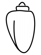 Seashell coloring pages free printable pictures