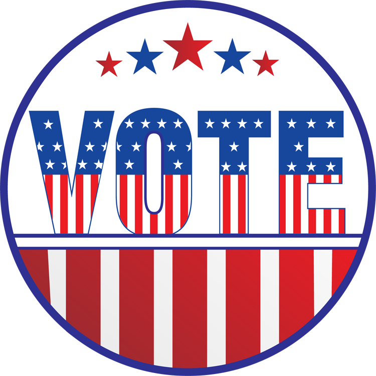 Go vote understanding and participating in united states elections ernment book talk