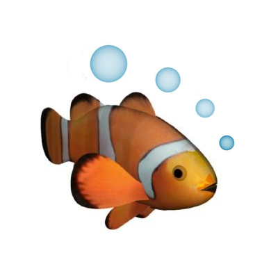 Dennis clark boomfish