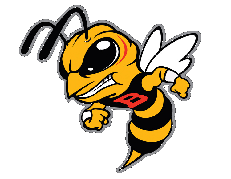 Video bulletin carnival rescheduled lunion fait la force bhs library events mcsa latine grad yearbook baseball senior night much more buzzâ â berkeley high leadership