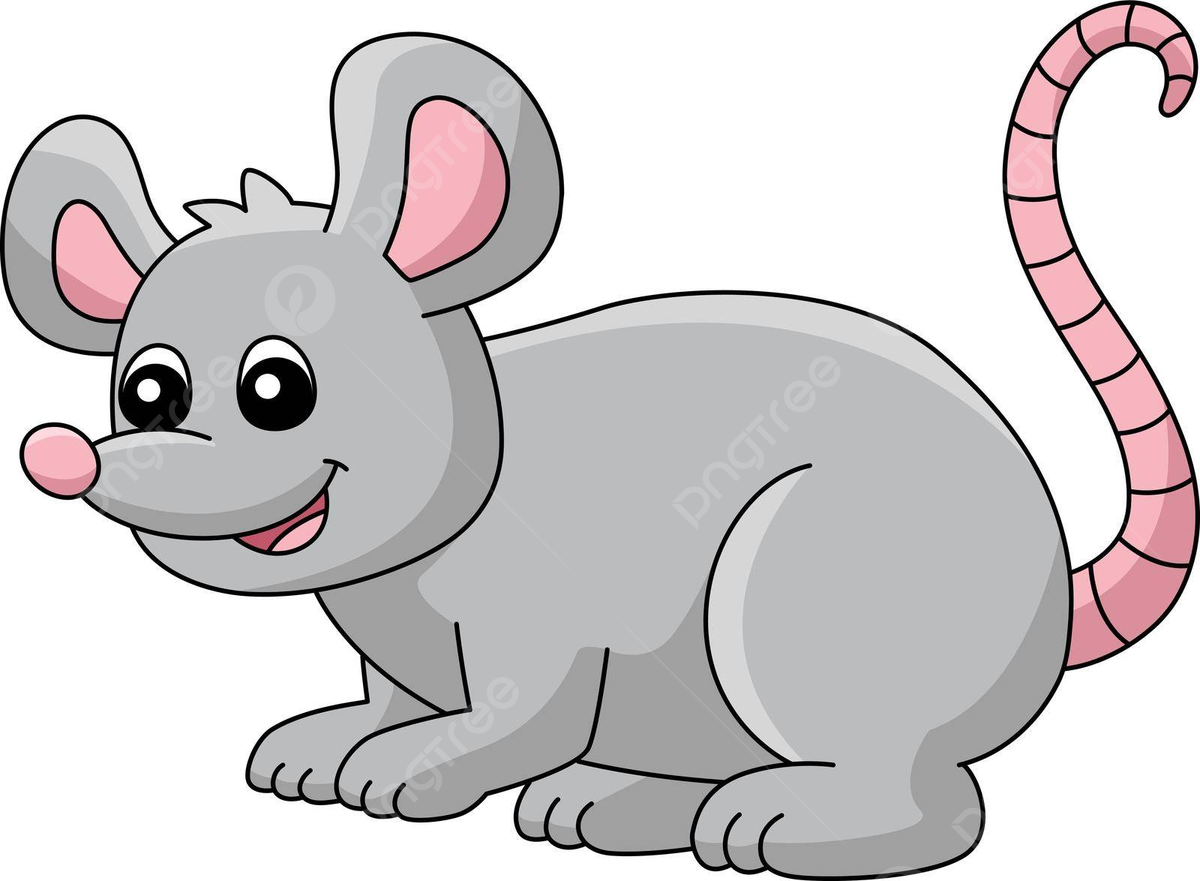 Rat drawing clipart images free download png transparent background
