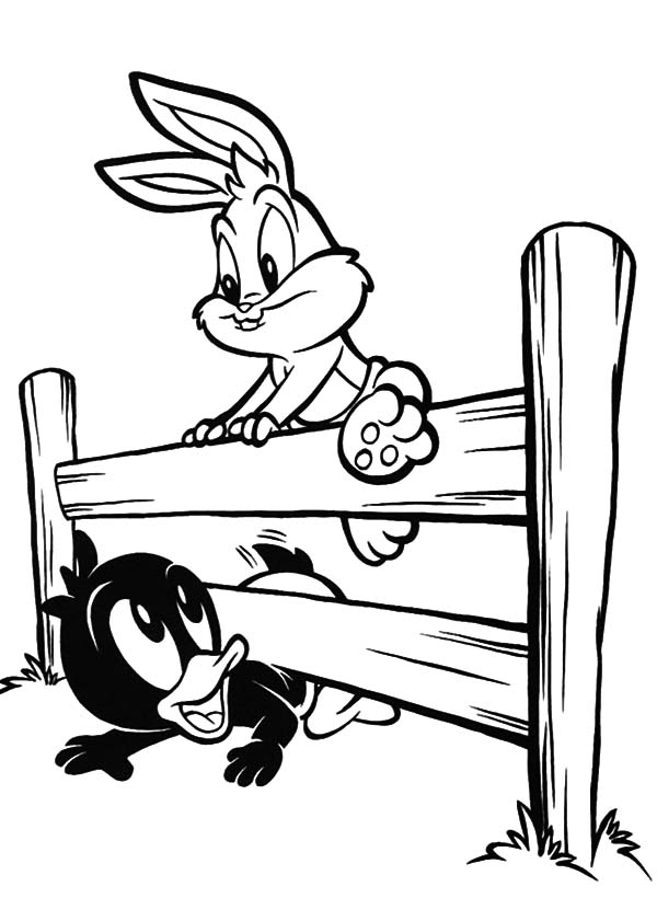 Little daffy duck crawling under fence coloring pages