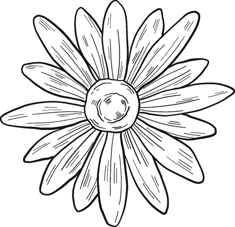 Daisy coloring page free printable coloring pages