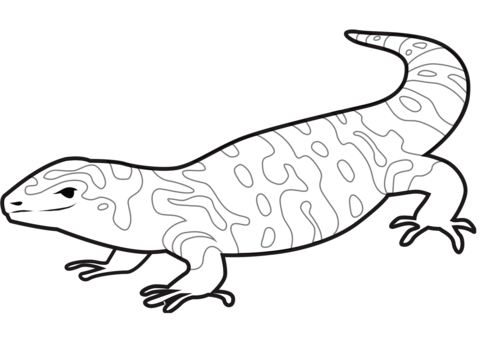 Gila monster coloring page free printable coloring pages
