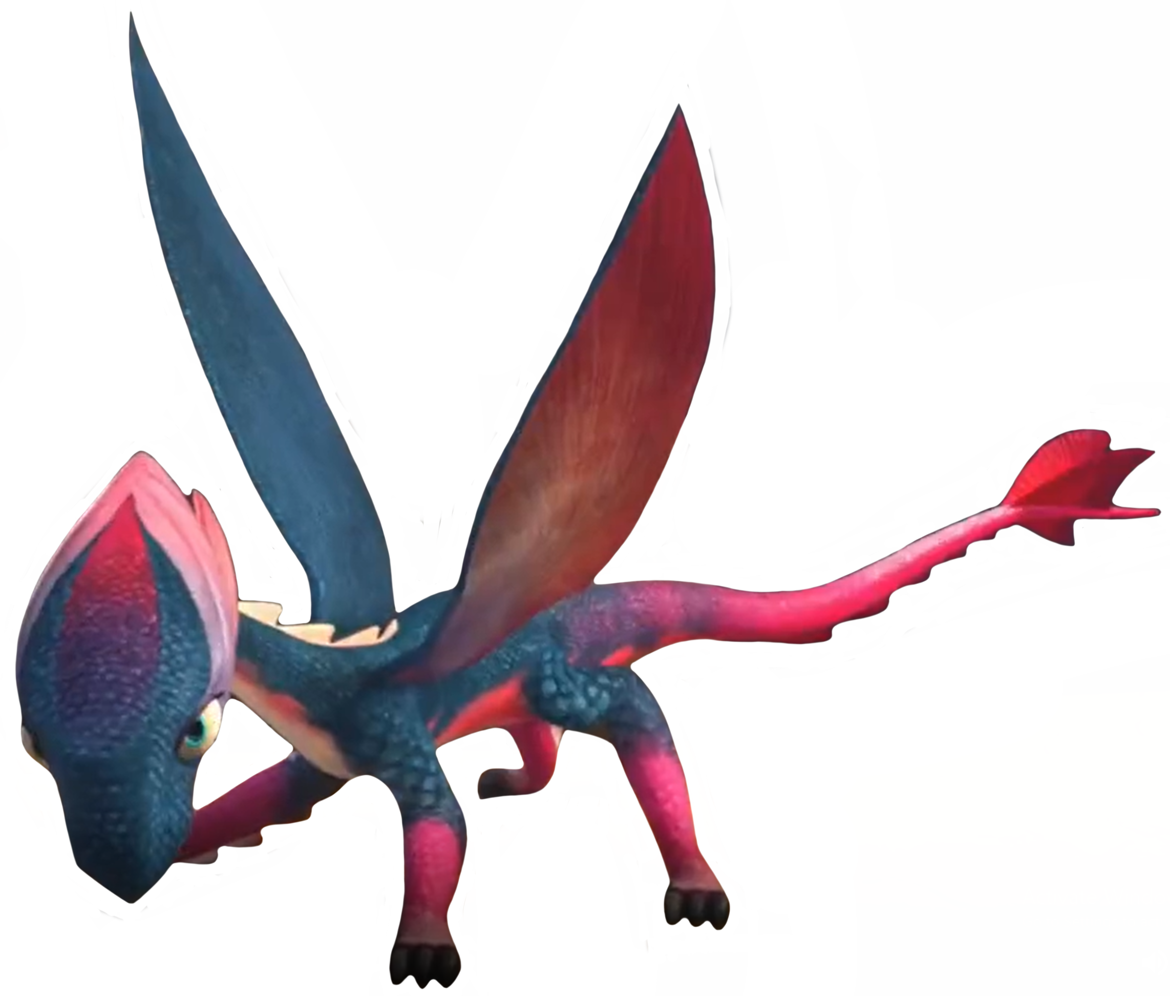 Zoomerang how to train your dragon wiki