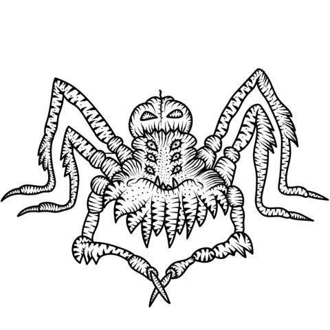 Scary spider coloring page free printable coloring pages