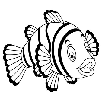 Page clown triggerfish drawing images