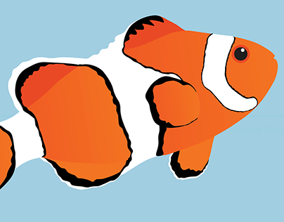 Clownfish projects photos videos logos illustrations and branding