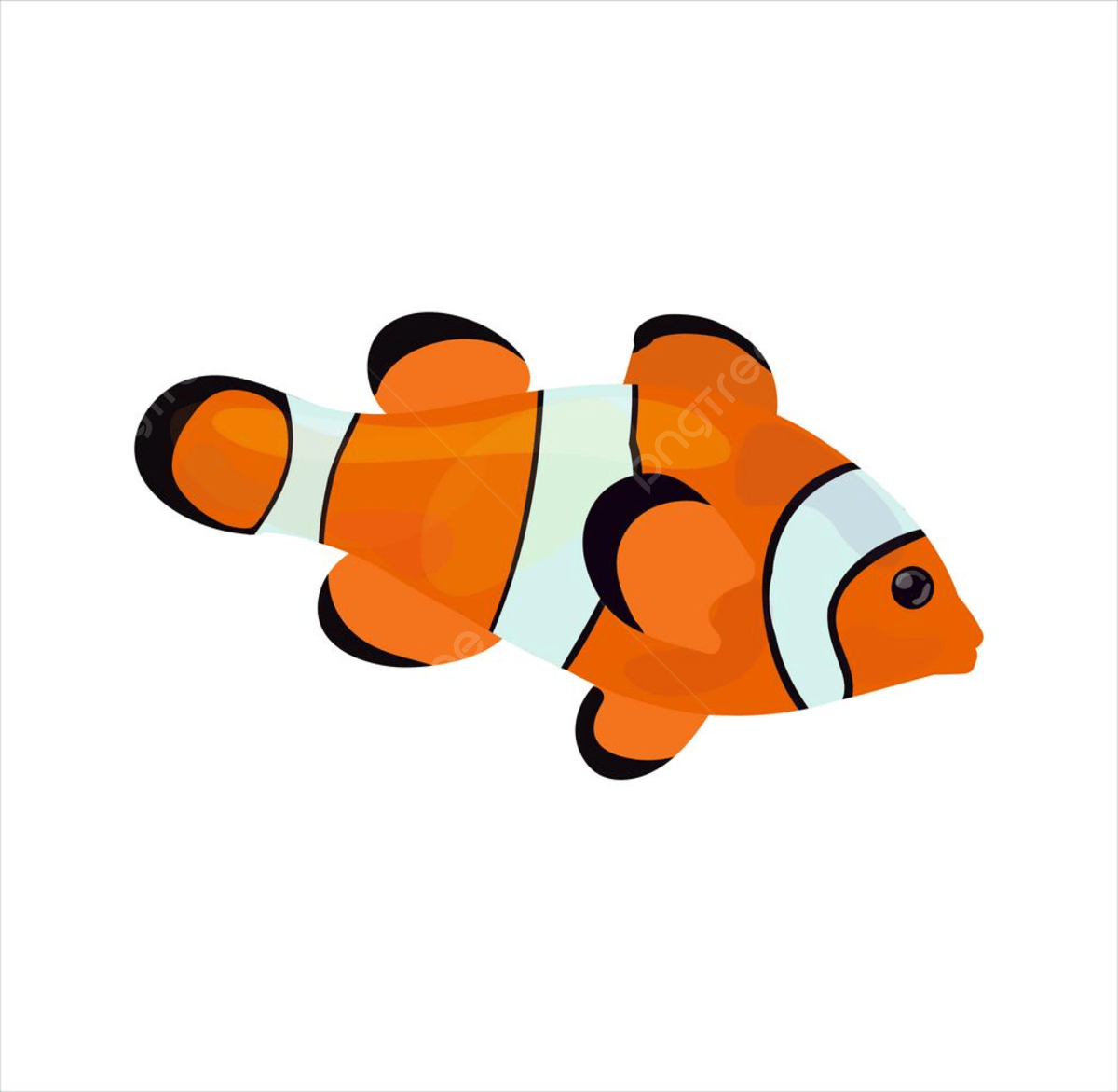 Clown portrait png transparent images free download vector files