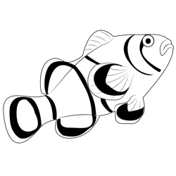 Clown fish going coloring page for kids