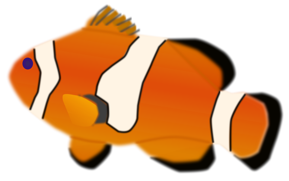 Free clown fish clipart download free clown fish clipart png images free cliparts on clipart library