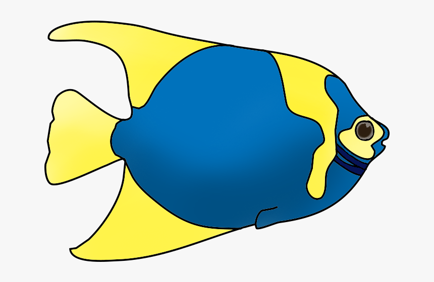 Fish blue yellow clownfish clipart transparent png