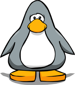 Sensei gray club penguin wiki
