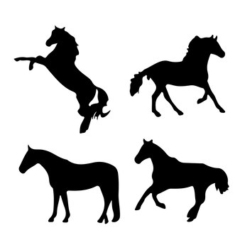 Page running horse images